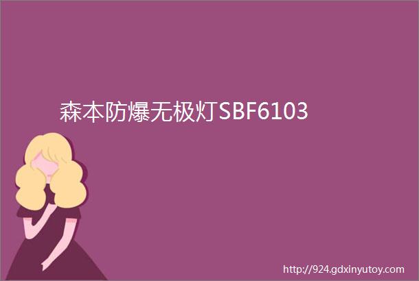 森本防爆无极灯SBF6103