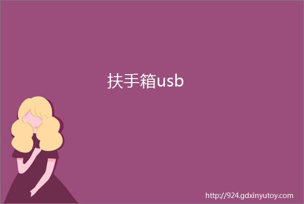 扶手箱usb