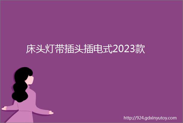 床头灯带插头插电式2023款