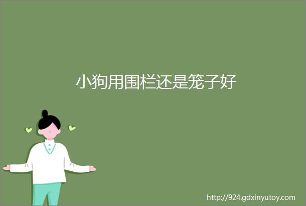 小狗用围栏还是笼子好