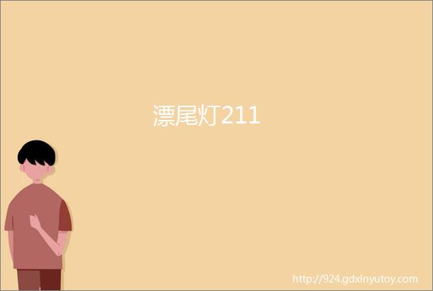 漂尾灯211