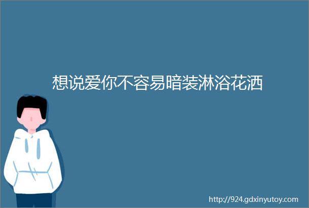 想说爱你不容易暗装淋浴花洒